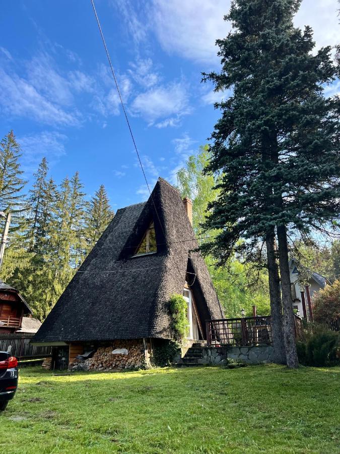 Mountain Getaway Cabin Cheia  Exterior foto
