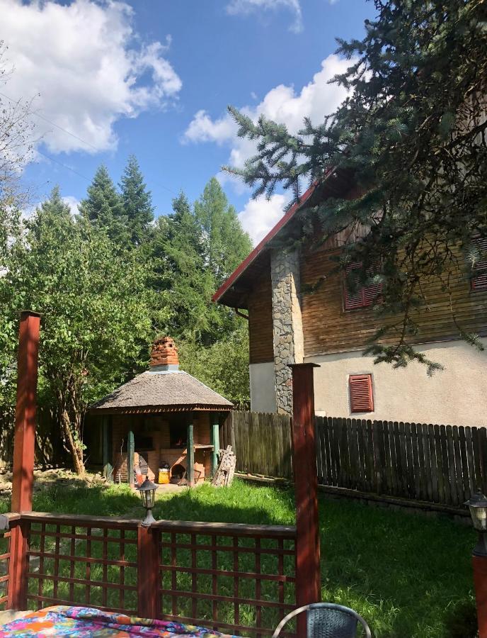 Mountain Getaway Cabin Cheia  Exterior foto